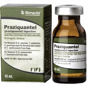 praziquantel