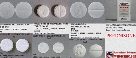 prednisone