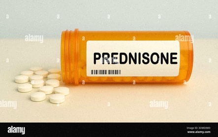 prednisone